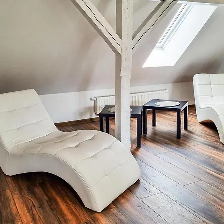 Pet Friendly 公寓 *