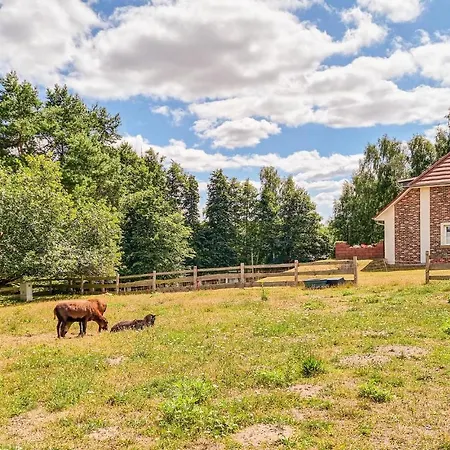 Pet Friendly דירה