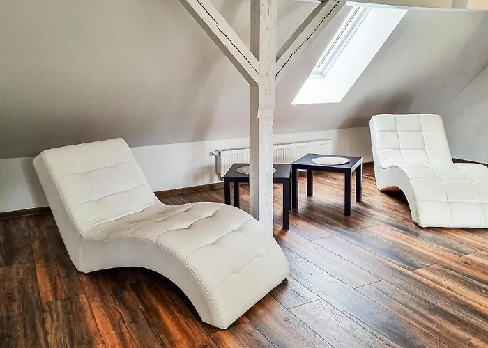 Pet Friendly 아파트 *