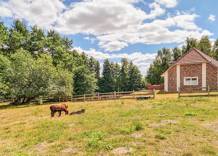 Pet Friendly 아파트
